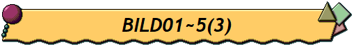 BILD01~5(3)