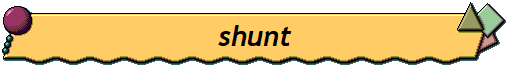 shunt